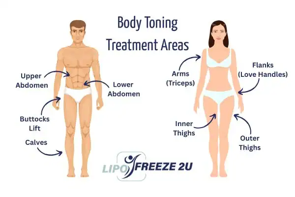 Graphic showing where you can have Body toning Treatment Essex on your body